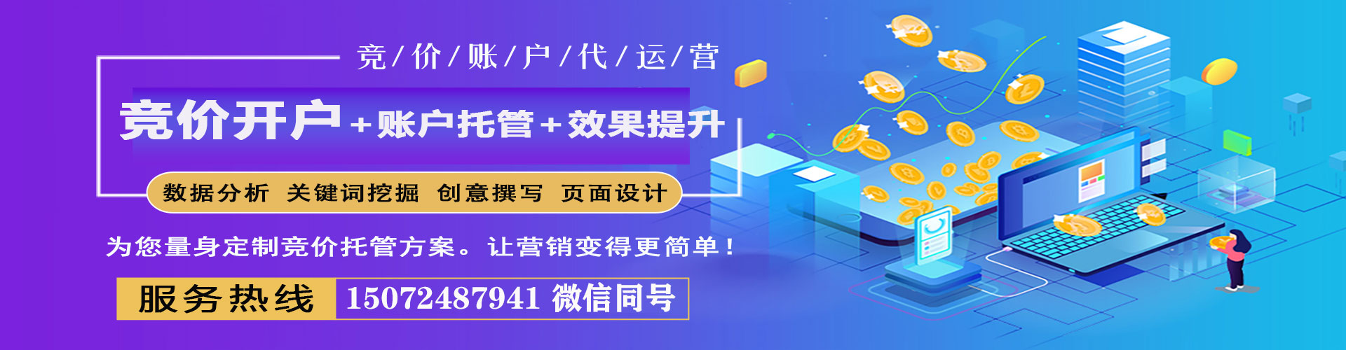 维西sem优化